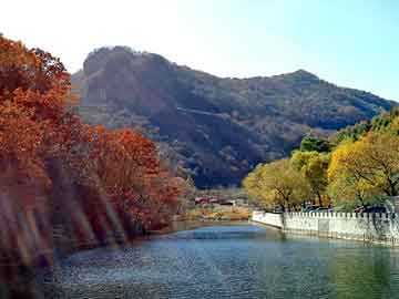 新澳天天开奖资料大全旅游团，羚羊论坛